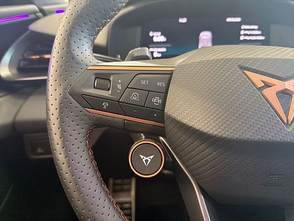 Cupra Terramar 13 of 19