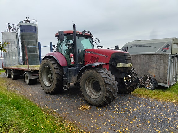 CASE IH Puma 185 cvx 5 of 6