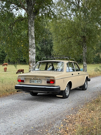 Volvo 244 2 of 10