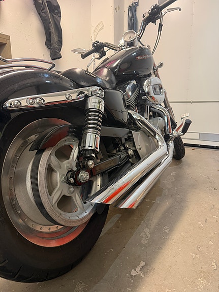 Harley-Davidson XL883C 6 of 6
