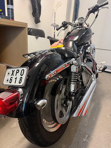 Harley-Davidson XL883C 5 of 6