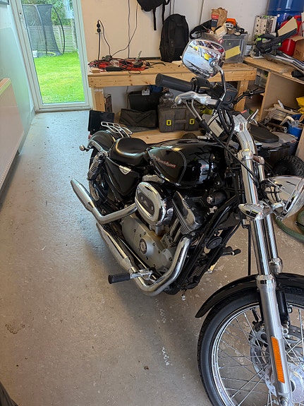 Harley-Davidson XL883C 2 of 6