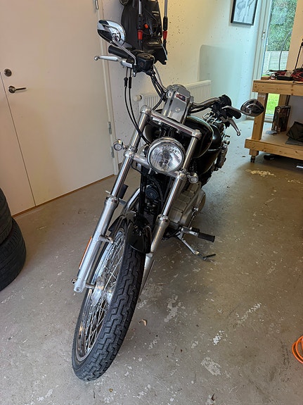 Harley-Davidson XL883C 4 of 6