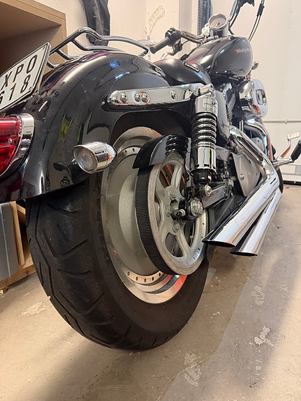 Harley-Davidson XL883C 3 of 6