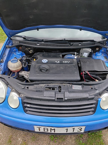 Volkswagen Polo 6 of 6