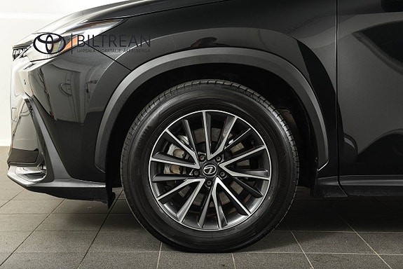 Lexus NX450h+ 20 of 20