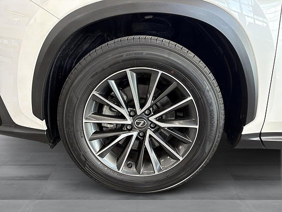Lexus NX350h 11 of 15