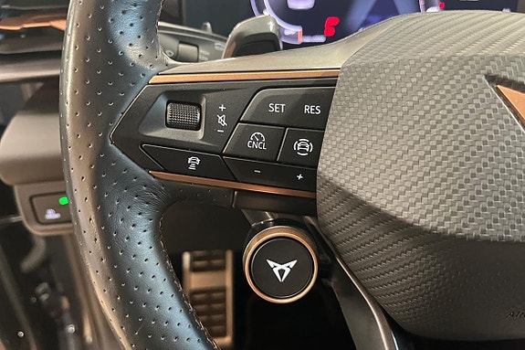 Cupra Terramar 18 of 27