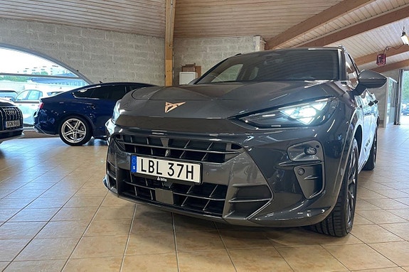 Cupra Terramar 24 of 27
