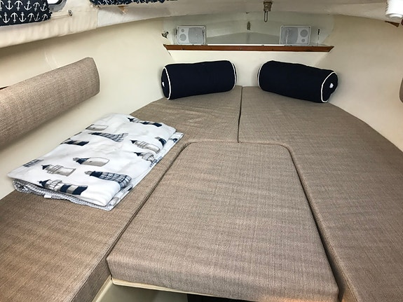 Flipper 570 med Johnson VRO 70 Hp samt släp 5 of 6