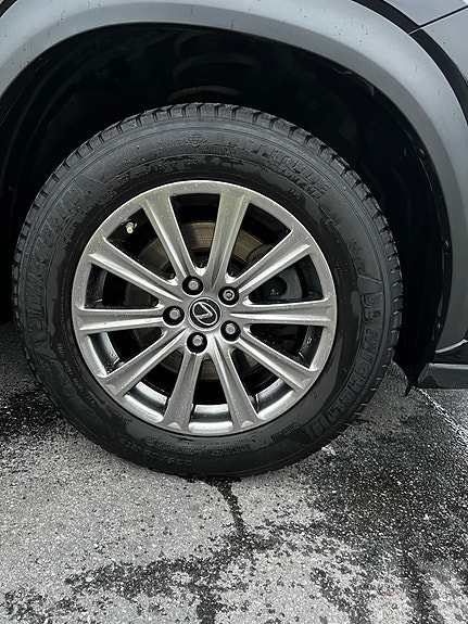 Lexus NX300h 6 of 11