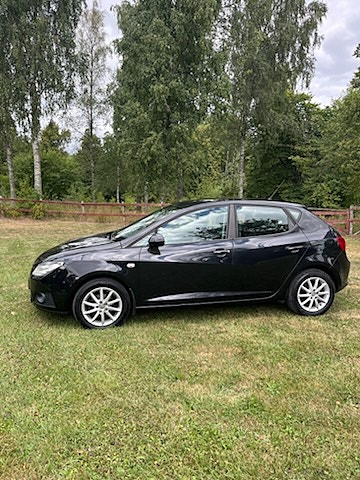 Seat Ibiza 8 of 8