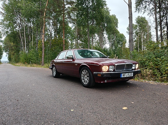 Jaguar Daimler 5 of 18