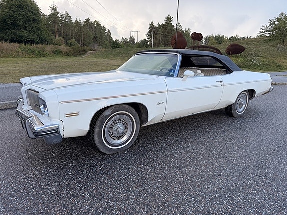 Oldsmobile Delta