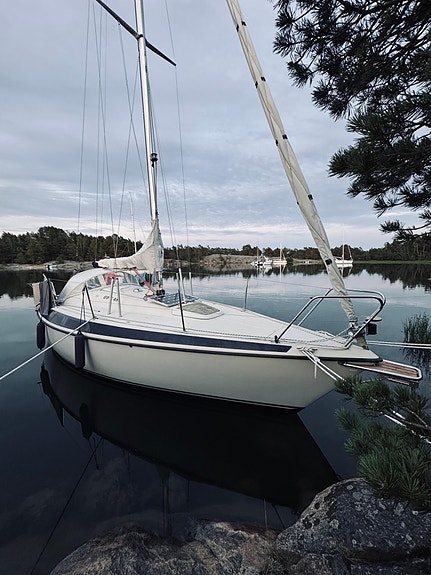 Maxi 84 2 of 19