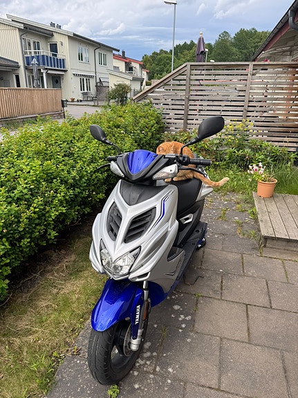 Yamaha Aerox 2-takt 10 of 10
