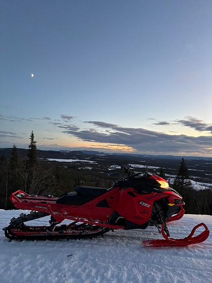 Lynx 2 of 2
