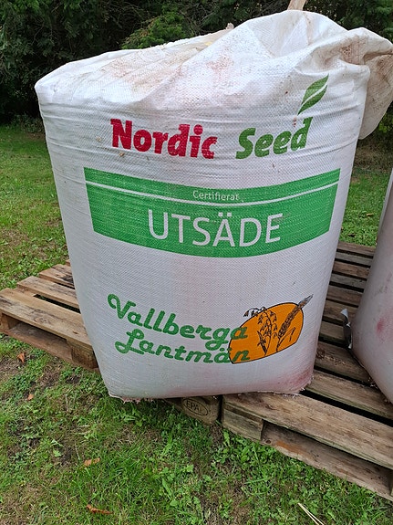 Utsäde höstvete pondus 4 of 4