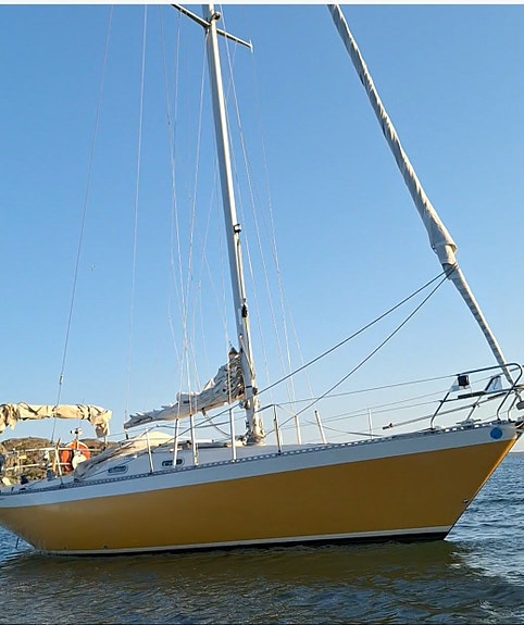 FORGUS 31 — View photo 1