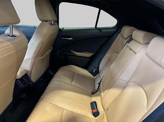 Lexus UX300h 9 of 16