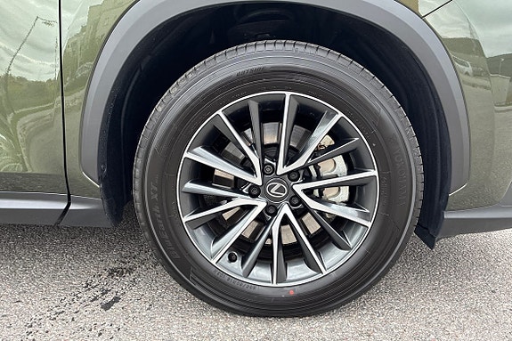 Lexus NX450h+ 15 of 25