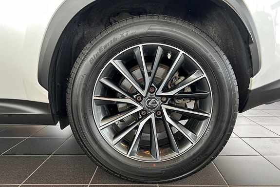 Lexus NX450h+ 15 of 25