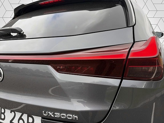 Lexus UX300h 25 of 25