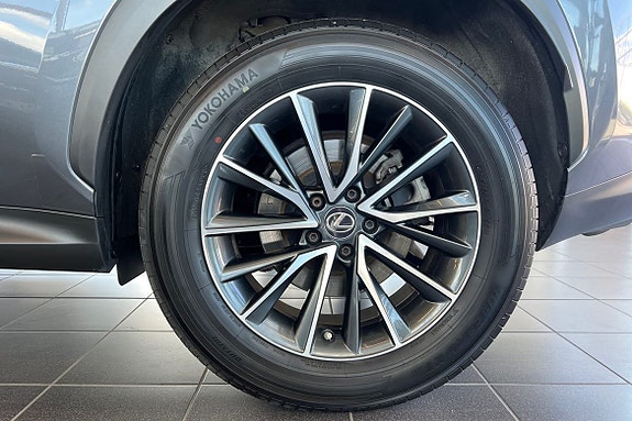 Lexus NX450h+ 24 of 25