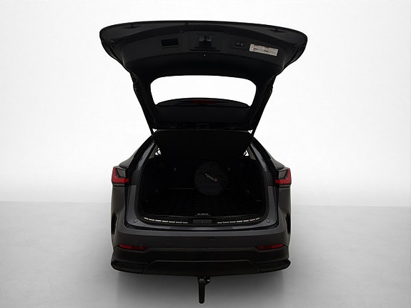 Lexus NX450h+ 29 of 30