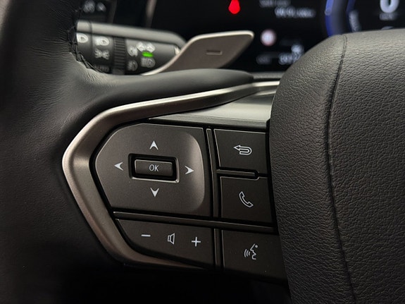 Lexus NX450h+ 20 of 30