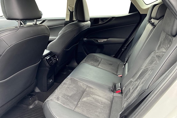 Lexus NX350h 11 of 22