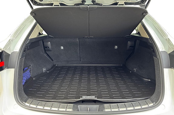 Lexus NX350h 10 of 22