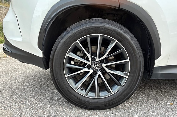 Lexus NX350h 15 of 22