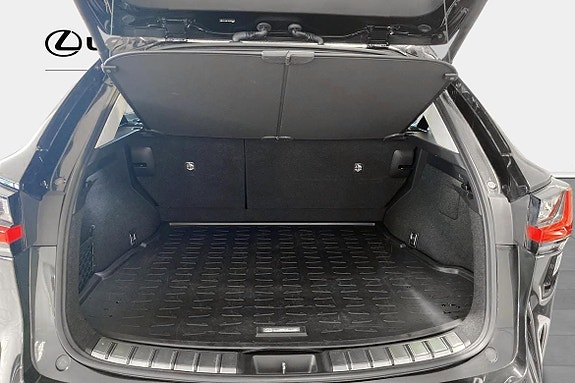 Lexus NX450h+ 10 of 11
