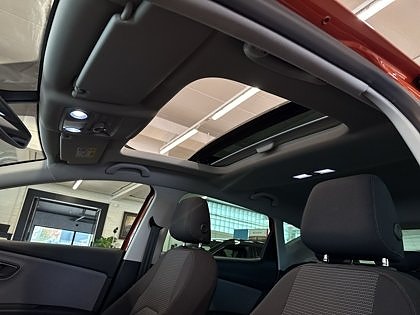 Seat Leon 19 of 29