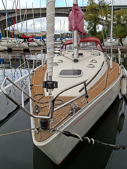 Albin Scampi 30 — View photo 1