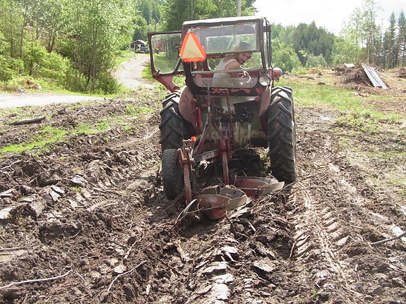 Massey Ferguson 1960 2 of 7