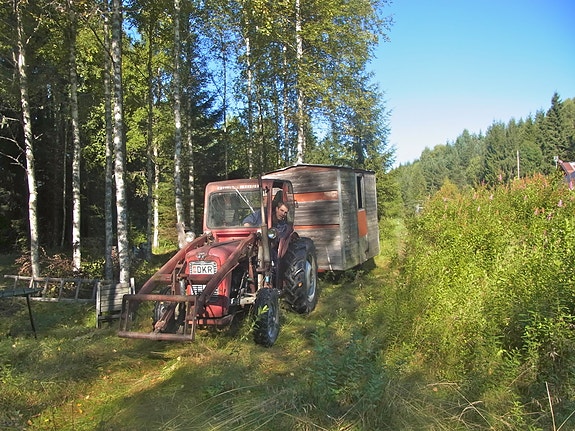 Massey Ferguson 1960 5 of 7