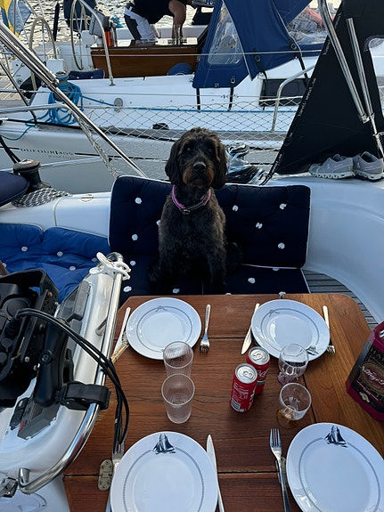 Bavaria 38 Cruiser 2003 – D2-55 – 3 kabiner – välutrustad inklusive vagn 11 of 14