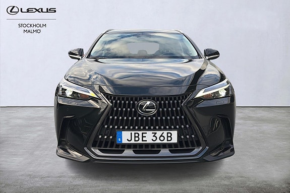 Lexus NX350h 21 of 23
