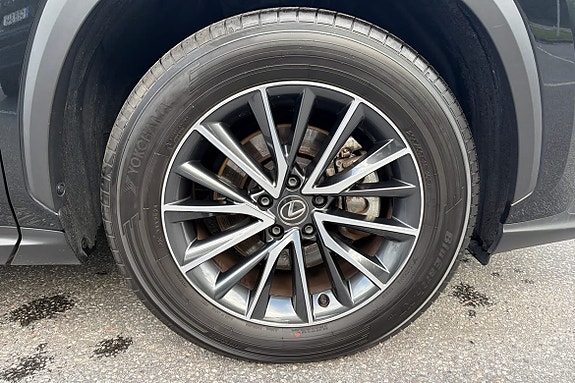 Lexus NX350h 22 of 23