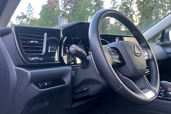 Lexus NX350h 21 of 26