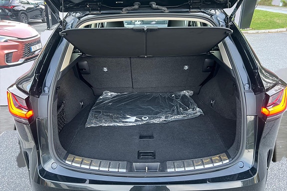 Lexus NX350h 10 of 26