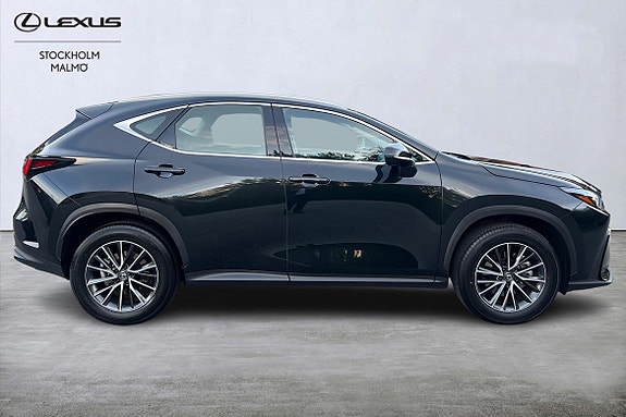 Lexus NX350h 16 of 26