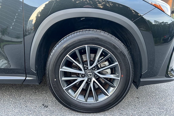 Lexus NX350h 15 of 26