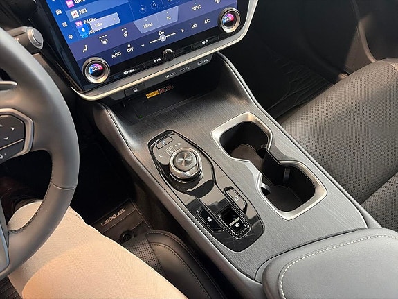 Lexus RZ300e 16 of 16