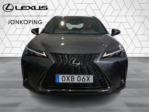 Lexus UX250h 7 of 16