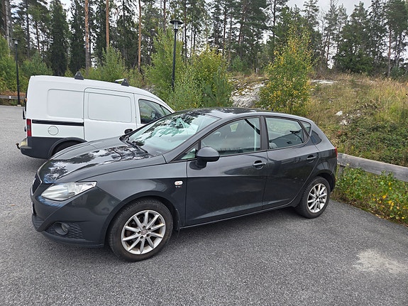 Seat Ibiza 7 of 30