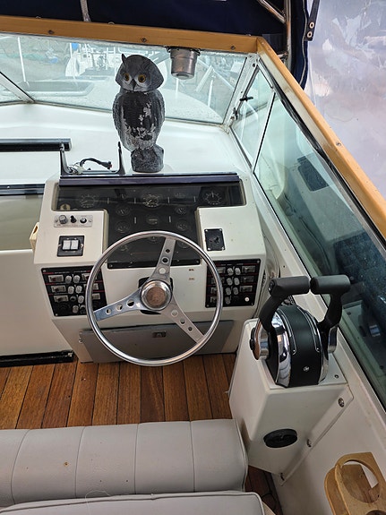 Projekt Celebrity 268 Sport Cruiser 5 of 13