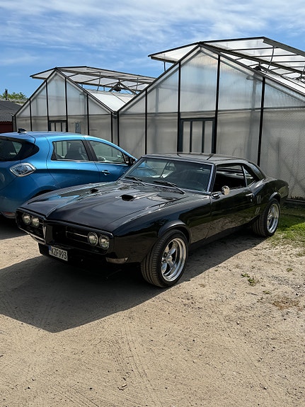 Pontiac Firebird 6 of 9